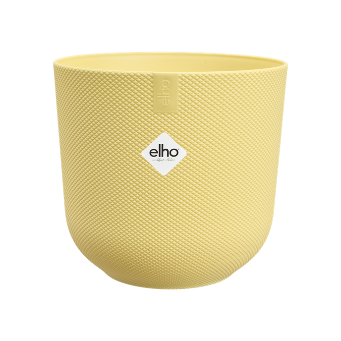 jazz rond 16cm cream yellow